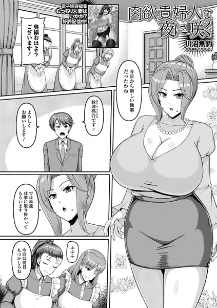 【川沼魚釣】肉欲貴婦人は夜に咲く（単話）（単話）｜単話