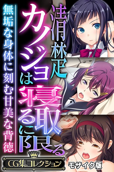 【大人のSEXY絵本】清楚カノジョは寝取るに限る 〜無垢な身体に刻む甘美な背徳〜【CG集コレクション】 モザイク版｜フルカラー